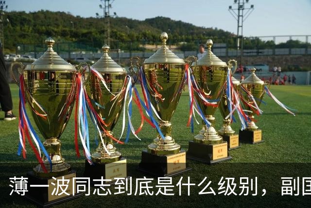 薄一波同志到底是什么级别，副国级？还是正国级？